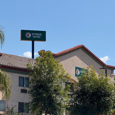Citrus Suites Redlands Loma Linda Hotel Luaran gambar